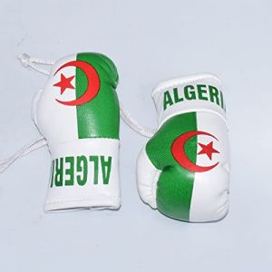 Paire de mini gants de boxe à suspendre pour voiture, camionnette, rétroviseur, cadeau de sport, clé drapeau (Algérie) (Brit_bargain, neuf)
