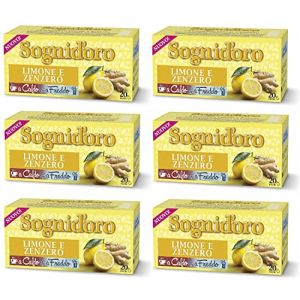 Lot de 6 infusions de fruits Star Sognid'oro Infusi alla Frutta Limone e Zenzero - Saveur citron et gingembre - Lot de 20 filtres (Italiaen Gourmet UK Ltd, neuf)