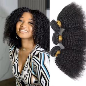 Tissage Naturel Cheveux Humain Afro Kinky Curly Human Hair Bunldes 4B 4C Meche Bresilienne Vierge Remy Cheveux Humains Tissage Bresilienne Bouclé Naturel Couleur Naturelle Noire 12 14 16 Pouces 300g (Youngirl Hair, neuf)