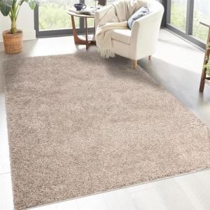 carpet city Shaggy Tapis de salon, à poils longs, 200 x 200 cm, carré, sable et beige, uni moderne, moelleux, doux, décoration de chambre à coucher (carpetcity, neuf)