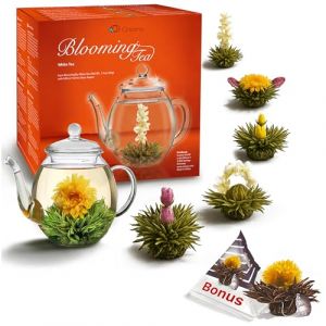 Creano Coffret cadeau fleur de th&eacute; - Avec pot en verre 500ml & 6x th&eacute; blanc + boule bonus th&eacute; noir en portion de tasse - 8 pi&egrave;ces (Creano, neuf)