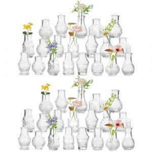 Hewory Mini Vase Deco Table: 40 Petit Vase en Verre Vintage Vase Mariage pour Decoration Mariage - Mini Bouteille Verre Vase Fleur Fiole en Verre Vase Decoration Design pour Centre de Table Mariage (Sportsteam-66, neuf)