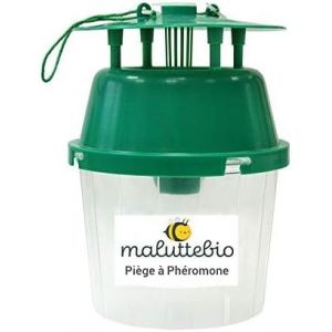 Pi&egrave;ge &agrave; ph&eacute;romones carpocapse de la Pomme (Vendu Seul) - Traitement carpocapse du Pommier (Maluttebio, neuf)