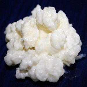 40g de Poudre Granules de Kéfir de Lait + Instructions + Recettes + Aide et conseils en français - KEFIRALIA®, Non aromatisé (Kefiralia, neuf)