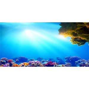 MIRRORANG 76x46cm Fond d'aquarium sous-Marin Soleil Bleu mer r&eacute;cif de Corail Monde sous-Marin Affiche de r&eacute;servoir de Poissons Toile de Fond (MIRRORANG Shop EU, neuf)