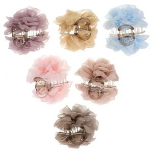 HAPINARY 6 Pièces fermagli per chignon pince cheveux hair clip for women hair clips girl pinces à cheveux (Gan Gardner, neuf)