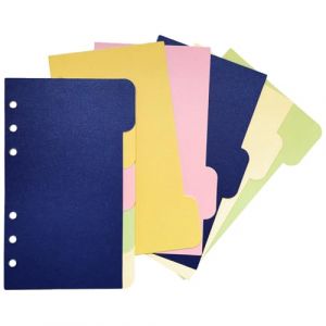 DY.2ten 10 Feuilles Intercalaires Classeur A6, 6 Trous, Séparateurs Registre，5 Couleurs, Index Format pour Classeurs à Anneaux et Planificateurs (SHUL, neuf)