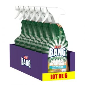 CILLIT BANG Lot de 6 Sprays Ecolabel Anticalcaire Nettoyant Puissant au Naturel Acide Citrique 750 ml (Conseil & Négoce Européen, neuf)