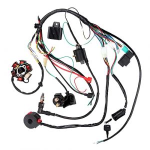 Riloer Faisceau de c&acirc;blage CDI Kit d'allumage pour quad de d&eacute;marrage &eacute;lectrique chinois 50 cc, 70 cc, 90 cc, 110 cc, 125 cc (Autopartcenter, neuf)