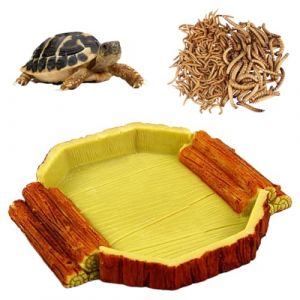 1 pièce Specialty Wood Grain Tortue Terrestre Water Bowl, Enclos Tortue Terrestre Exterieur, Terrarium Tortue Terrestre, Abreuvoir Tortue Terrestre, Terrarium Écuelle,Accessoires pour terrarium (QUQU JIANING, neuf)