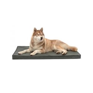 lionto Tapis orthopédique pour Chien avec Mousse mémoire, Coussin Protecteur pour Les articulations en Simili Cuir Facile d'entretien, 118x80 cm, Housse Amovible et Dessous antidérapant, Gris (dibea, neuf)