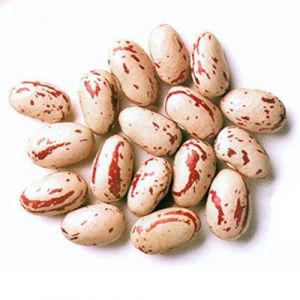 Haricots cocos roses - 1 kg (Jalpur Millers Online, neuf)