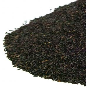 Graines de Niger GardenersDream - Nourriture pour Oiseaux Sauvages de qualit&eacute; sup&eacute;rieure, Haute &eacute;nergie pour Les pinsons (20kg) (Gardener's Dream Ltd, neuf)