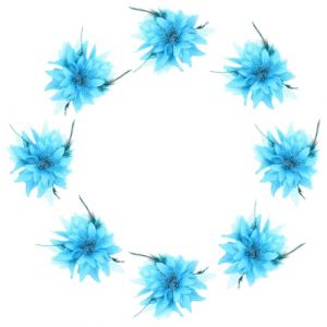 8pcs Pince Cheveux Fleur Hawaienne, Pinces &agrave; Cheveux Fleurs Mariage Femme, &eacute;pingle &agrave; Cheveux Fleur Plumes, Accessoires de Cheveux pour &eacute;t&eacute; F&ecirc;te Plage Mariage Cadeaux pour Femmes et Filles (Bleu) (iShang Direct, neuf)