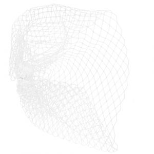VILLCASE Voile Cage &agrave; Oiseaux Blanc pour Mariage Accessoire de Coiffure de Mari&eacute;e en Filet Fascinateur &Eacute;l&eacute;gant pour Tea Party et Banquets Accessoire Cheveux Mariage Raffin&eacute; L&eacute;ger et (Farrar Fae, neuf)