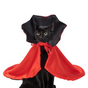 Cape De Vampire pour Chat - Cape D&eacute;guisement Halloween pour Animaux | Manteau Sorcier Vampire Costume Animal Carnaval Halloween (Knowlife, neuf)