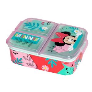 BRICOMIRAS Boîte à sandwich pour enfant d'école, boîte à sandwich pour enfant idéale pour la récréation, sandwich goûter parc pour garçons et filles, porte-sandwich scolaire (Minnie) (BRICOMIRAS, neuf)
