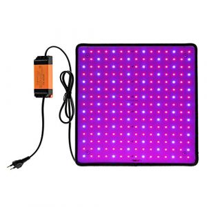 GWCYMYD Lampe LED Horticole Croissance Floraison 1000W Spectre Complet Lampe Croissance Plante Interieur avec 225 LEDs et Crochet LED Horticole de Croissance pour Plantes D'intérieur et Légumes (02) (GWCYMYD, neuf)