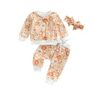 Dazzerake Ensemble B&eacute;b&eacute; Fille 3Pcs Ensemble Fille Imprim&eacute; &agrave; Fleur Haut + Pantalon + Bandeau Tenue Chic B&eacute;b&eacute; Fille 6 Mois-4 Ans Automne Printemps Hiver (Fleur Jaune clair, 18-24 Months) (gaokana, neuf)