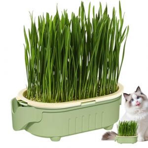 Pot D'h-erbe De Chat Hydroponique - Grass De Chat Int&eacute;rieurs Plateau De Plantation Hydroponique - Bo&icirc;te &Agrave; Chats, D&eacute;butant Pour Les D&eacute;butants, R&eacute;cipient D'arrosage Sans Sol Pour La Maison, Le Jardin (TianKuaiLiangShangMao, neuf)