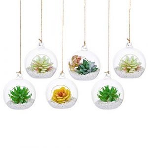 Terrarium en Verre Suspendu 6 Pièces Grande Ouverture Vase Plante Boules 10cm Fleur Vase Pot Boules De Verre Creativesverre la Conception de Bricolage de Jardin de Mariage à la Maison (Gasseam, neuf)