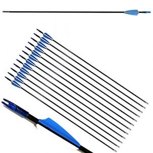 ZSHJG 12pcs Flèches en Fibre de Verre 31 Pouces Flèches d'entraînement de Cible Spine 900 Flèches de Chasse avec Flèche Carquois pour 35 Lbs Arc Recourbé Arc Long (Bleu) (Traveling Shop, neuf)