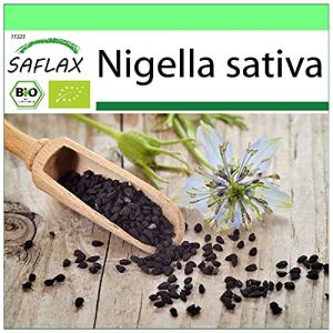 SAFLAX - BIO - Nigelle cultiv&eacute;e - 300 graines - Nigella sativa (SAFLAX, neuf)