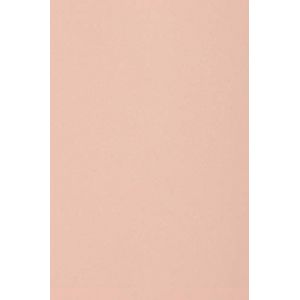 Netuno 100x carton rose clair 250g papier d&eacute;coratif A4 210x297mm Burano Rosa id&eacute;al pour cartes de voeux scrapbooking bricolage invitations art et artisanat anniversaire DIY loisirs cr&eacute;atifs (netuno, neuf)