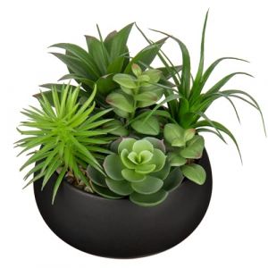 Arborus Plantes succulentes artificielles de 17 cm dans un pot en céramique noire - Plantes succulentes artificielles en pot pour bureau, maison, salle de bain, décoration d'étagère (Arborus, neuf)