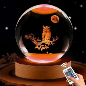 Lampe boule de cristal en forme de chouette 3D avec télécommande – Décoration pour chambre à coucher, cadeau d'anniversaire, de Noël pour femmes, enfants, filles, garçons (oasisblossomuk, neuf)