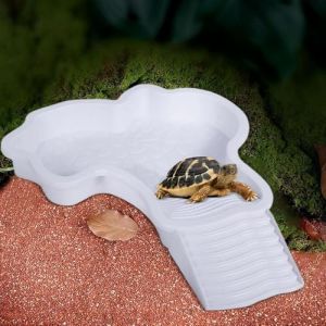 Plat D'Eau Pour Tortue De Piscine Avec Rampe,Abreuvoir Tortue Terrestre,Terrarium Tortue Terrestre,Bassin Pour Tortue,Piscine Tortue Terrestre35x28,5x4,3cm Pour Tortue,LéOpard,Dragon Barbu,Hamster (A) (Htianyi-eu, neuf)