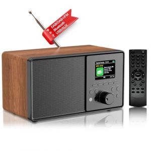 PAZEAU Radio Num&eacute;rique Dab/Dab+ FM, Radio Nostalgie Retro avec &Eacute;cran Couleur 2,4, Bluetooth, USB/AUX, T&eacute;l&eacute;commande, Radio Cuisine R&eacute;veil Double R&eacute;veil, Minuterie Veille, 60 M&eacute;moires Stations (Bois) (YANGJING6, neuf)