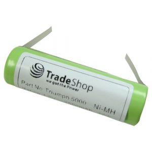 Trade-Shop Batterie de rechange NI-MH compatible avec Braun 3731 3738 compatible avec Braun Oral-B OralB Professional Care 8000 8300 8500 9500 Triumph 4000 5000 900 9400 9500 9900 NI-MH 1,2 V 2500 mAh (Trade Shop, neuf)