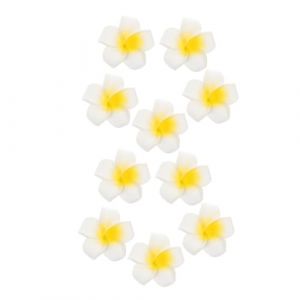 Mobestech 10 Pi&egrave;ces Accessoires Pour Cheveux En Mousse De Frangipanier D&eacute;corations Artificielles Pinces &agrave; Cheveux Tropicales Pour Mariage Et F&ecirc;te (Cash Liu, neuf)