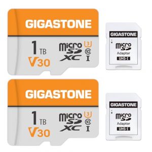 GIGASTONE Carte M&eacute;moire 1 to Lot de 2, 4K Video Pro S&eacute;rie, Vitesse jusqu'&agrave; 140/100 Mo/s, pour GoPro, DJI, Drone, Insta360, Cam&eacute;ra de Surveillance, 4K Vid&eacute;o V30 U3 C10 MicroSDXC avec Adaptateur SD (Gigastone Pro, neuf)