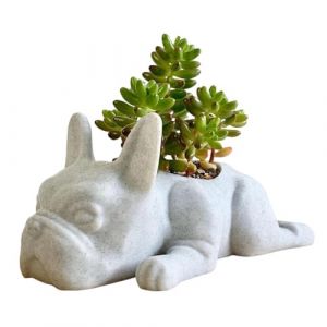 Pots de succulentes pour chiots - Pots de succulentes en forme de bouledogue fran&ccedil;ais - Pot de fleurs pour succulentes avec chiens - Pot de fleurs en r&eacute;sine pour (cbingjie, neuf)