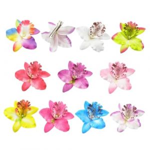 HAPINARY 10pi&egrave;ces Lot De Pinces &agrave; Cheveux Forme Fleur Phalaenopsis Accessoires Cheveux D&eacute;coration F&ecirc;te Mariage Plage Blanc Jaune Rouge Vert Bleu Rose Rouge Blanc (Gan Gardner, neuf)