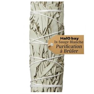 1 Sauge Blanche sacr&eacute; Purification &agrave; br&ucirc;ler sans Additifs Encens B&acirc;tons 10cm Rituel M&eacute;ditation Yoga Nettoyage &Eacute;nerg&eacute;tique Relaxation Bien &Ecirc;tre Spirituel d&eacute;sodorisant Encens Sage Salvia apiana (halo bay, neuf)