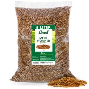 HÜHNER Land I festin de vers de Farine, charcuterie vers de Farine séchés 5 litres pour volailles d'ornement, Reptiles - Aliments pour volailles d'ornement sans additifs (Görges Naturpharma GmbH, neuf)
