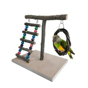 Support De Jeu Pour Oiseaux, Perchoir En Bois Pour Perroquet, Aire De Jeux De Perroquet En Bois, Avec &Eacute;chelle d'Escalade Balan&ccedil;oire &agrave; Suspendre, Jouet Pour Perroquet, Pour Perruche, Conure, Calopsitte (Dulau, neuf)