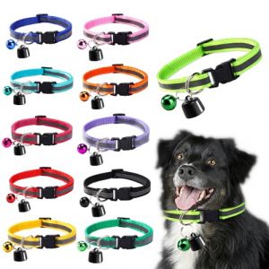 Collier Traceur GPS pour Chat & Chien — Mini Traceur GPS pour Chat – Suivi Mondial – sans Frais Supplémentaires – Compatible iOS & Android – pour Tout Collier – Localisation Intelligente (G) (Beauty-YW, neuf)