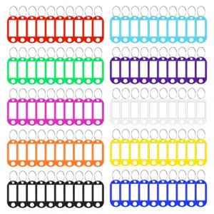 Vicloon 100pcs Porte &Eacute;tiquettes Cle,Porte-Cl&eacute;s en Plastique Plaques pour cl&eacute;s Multicolores avec Anneau Pour Identificateur de Cl&eacute; de Porte, Valise,H&ocirc;tel,Animal de Compagnie (Vicloon&reg;-FR, neuf)