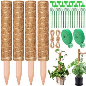 ZZQVIP Tuteur Monstera 4 PCS 40 CM, Bâton en Fibre de Coco Naturelle avec Ficelle et Liens de Fixation, Support Extensible pour Plantes Grimpantes, Tuteur pour Plantes d’Intérieur et de Jardin (MAGROUTI FOUAD, neuf)
