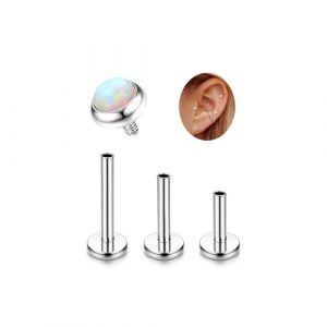 Adramata G23 Titane Piercing Helix Tragus Hypoallergénique Labret Levre Filetage Interne Monroe Medusa Petit CZ Oreille Conch Or Argent (jjccui, neuf)