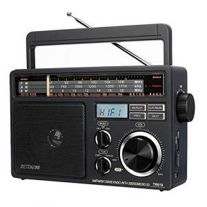 Retekess TR618 Poste Radio Portable, Radio Pile et Secteur, Transisitor FM AM SW, Lecteur MP3 USB SD TF, Prise de Casque, pour Personnes Âgées (Gris Foncé) (RetevisDirect, neuf)