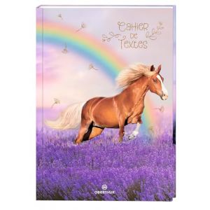 Oberthur - 1 Cahier de Textes Cheval et Arc-en-Ciel - Dimension : 15 x 21 cm - Reliure Brochée (Papeterie Libellus, neuf)