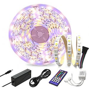 Arotelicht Bande LED 5M 12V Ruban LED RGBW Bande Lumineuse à changement de couleur 5050SMD RGB+blanc chaud 300LEDs Chaîne légère étanche pour la maison, la chambre, la fête, le mariage (Fernweh2020, neuf)