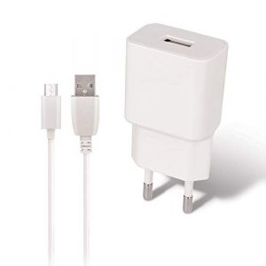 Lifemax MaxLife - Chargeur USB 1A & Câble pour Motorola Moto G6 Play - Moto E5 - Moto G5s - Moto E4 Plus - Moto E4 - Moto C Plus (Acce2S, neuf)