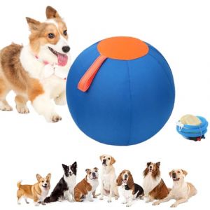 Pet Balle de Jeu pour Chien Balle G&eacute;ante pour Chien Grand Ballon Gonflable Jouet pour Animal Domestique Grand Ball de Cheval Ballon Troupeau Ball d'entra&icirc;nement pour Chevaux Ch&egrave;vres Agneau (&Oslash; 25cm) (STARPIA, neuf)