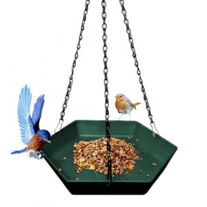 TYUKXJH Bain d'oiseaux Ext&eacute;rieur | Mangeoire Polygonale pour Oiseaux Sauvages,Abreuvoir Suspendu D&eacute;co Ext&eacute;rieure pour Balcon Terrasse Jardin Parc Famille (TeYunGeHuiShangMao, neuf)